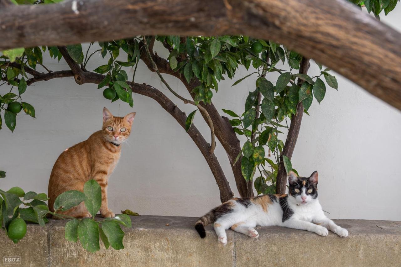 Gudja Close To Airport - Private Room With Private Bathroom Adults Only מראה חיצוני תמונה