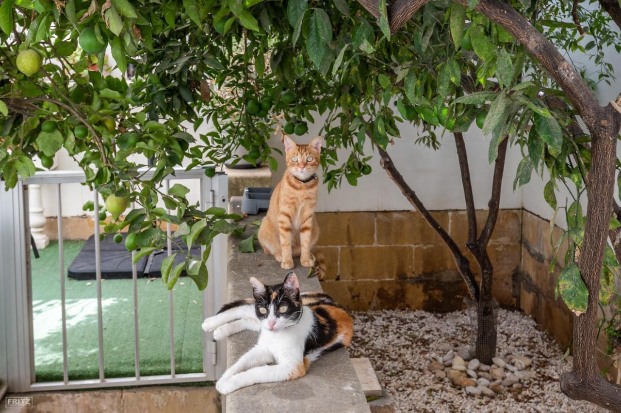 Gudja Close To Airport - Private Room With Private Bathroom Adults Only מראה חיצוני תמונה